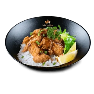 Poulet frit karaagé au riz japonais