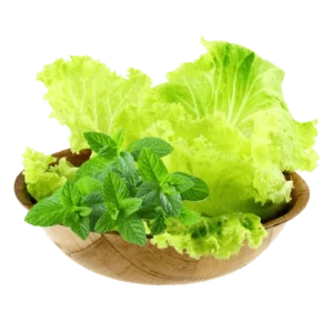 Salade menthe pour nem